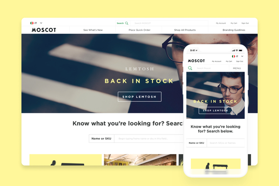 B2B Portal for Glasses Manufacturer