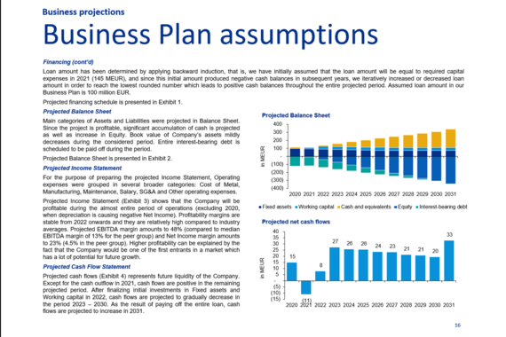 Business Plan Preparation