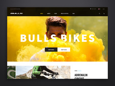 Bulls Bikes