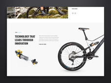 Bulls Bikes
